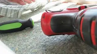 Searching for live termites in flat wood