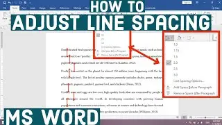 How to Adjust Line Spacing in MS Word | How to Set Space Between Lines in MS Word | Line Spacing
