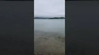 1 мая 2024 г.