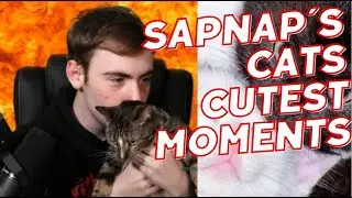 Sapnap And His Cats Cutest Moments 2024...