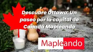 Descubre Ottawa  Un paseo por la capital de Canadá Mapleando