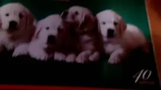 Мои рисунки!