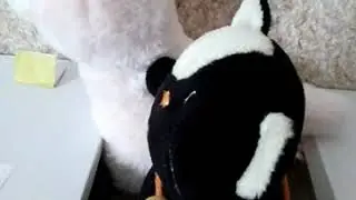 19 октября 2020 г.