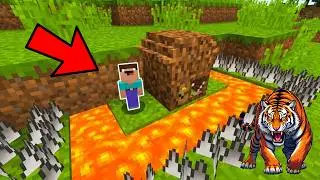 NOOB IN 1 BLOCK BUILT A PROTECTED HOUSE AGAINST TIGERS IN MINECRAFT! WORLD SHRUNK 100% PROTECTION...