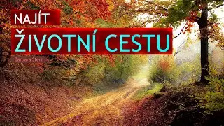 Peníze a smysl života ♡ Barbara Stern⭐️