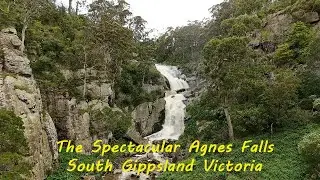 The Spectacular Agnes Falls after rain | South Gippsland Victoria