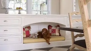 Идеи в интерьере для домашних питомцев