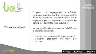 9.3 Gestión financiera SAP Business One