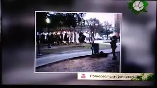 Звериный репортёр 11 место