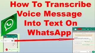 How To Transcribe Voice Message Into Text On WhatsApp