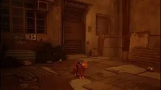 Stray - Part 1