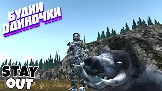 🔴Свинорез с карабином-возвращение🎃Велесова ночь🎃Сталкер онлайн🎃StayOut🎃Steam EU-1