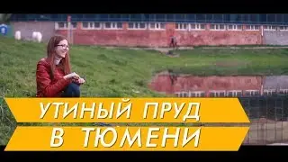 Утиный пруд в Тюмени, красивые места для отдыха.