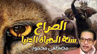 معركة البقاء: فلسفة الصراع بين الإنسان والحيوان مع د. مصطفى محمود 🐒➡️👨
