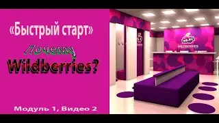 Быстрый старт с Wildberries. Таргет-Ретаргет WB | почему Wildberries ?