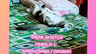 Филя моется лёжа и с закрытыми глазами 😄