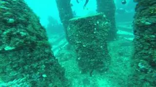 Scuba Diving @Neptune Memorial with Diver's Paradise Key Biscane (4 of 4)