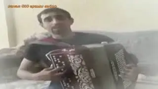 Шикарно поет цыган красивую песню ЖУРАВЛИ под баян