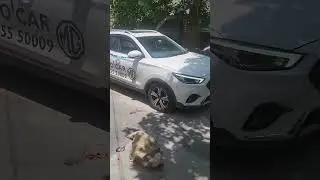 💥🚙 NEW CAR எடுப்போமா மாட்டோமா ⁉️ #shorts #trending #nesamanivlogs