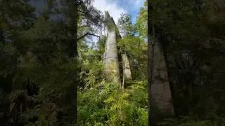 Hiking under an abandoned half-built bridge at The Island in Ocala, FL