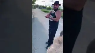 Прогулки около дома он любит. Ослик Иа и Шанель его пес снежок