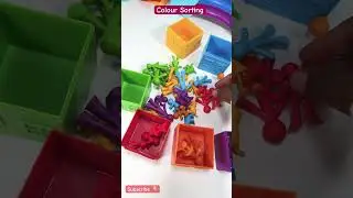 Colours | Colour Sorting | Houses | Educational Videos for Kids