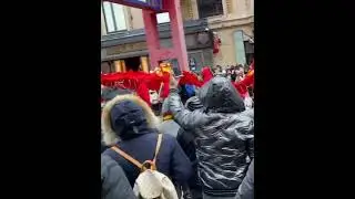 The year of the Rabbit! Celebrating in Chinatown Chicago.