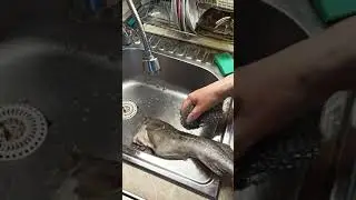 ОРИГИНАЛЬНЫЙ СПОСОБ ЧИСТКИ РЫБЫ