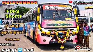 MALAYAMMAN | FAST & FURIOUS | FDFS SHORTS Of First Day | Tiruppur🔁Coimbatore|@estphotography3839