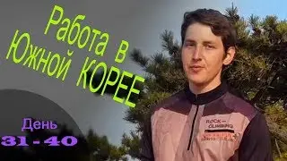 Работа в Южной Корее (День 31-40)