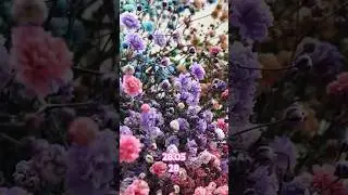 🥳