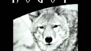 Койот - Дочь