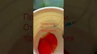 Дневной стационар.