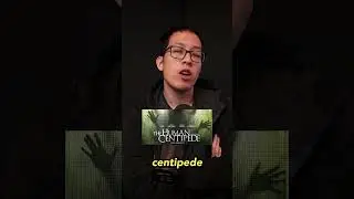 Centipede Robot 
