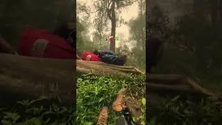 akhir perjalanan didalam kabut = tenang #viral #gunung #hiking #pendaki #mountains #youtube #short