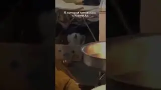 Тесты на госслужбу 2023