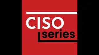 Well, I Think My Relationship With the CIO Improved When I Took Their Job