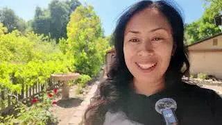 Tour de mi jardín de Socculenta y Lemon en Maseta en Español.