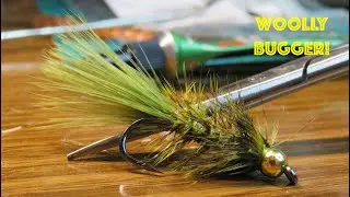 Best Woolly Bugger