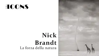 Nick Brandt: La forza della Natura | The Icons #2 | il FotoStudio