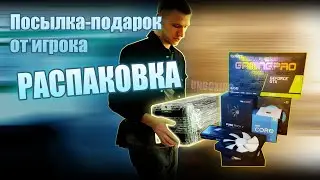 Открываем посылку-подарок от игрока!