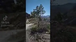 зелёный каньон