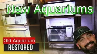 Showing some love to a Few old AQUARIUMS