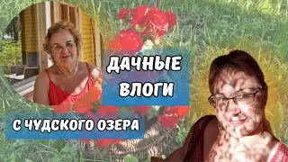 Жизнь на даче в Эстонии.Дачные влоги с Чудского озера.Дачные будни.Как живут другие. Семейные влоги