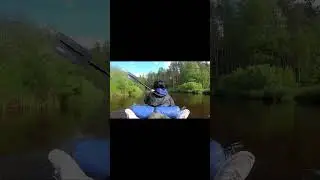 Правильный патриархат