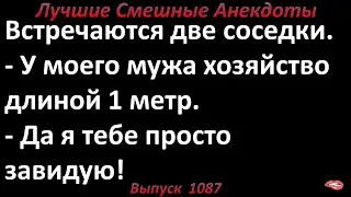 Две соседки. Лучшие смешные анекдоты  Выпуск 1087