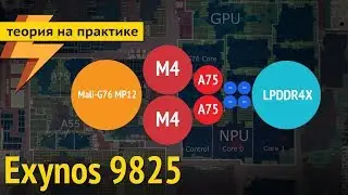 Exynos 9825: A Response to the Snapdragon 855 Plus