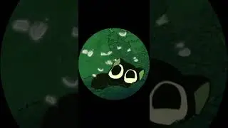 Кто устал от Педро мема?! 