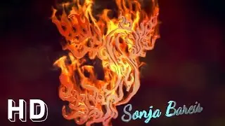 Custom Intro für Sonja Bareis + VFX Breakdown | Intro Maker Free Intros | Full HD