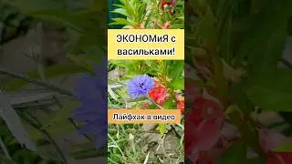 не трать деньги!